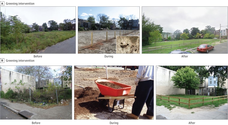 Image: Greened vacant lots