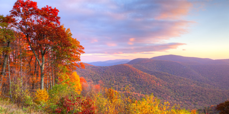 Best Family Vacations Shenandoah National Park With Kids