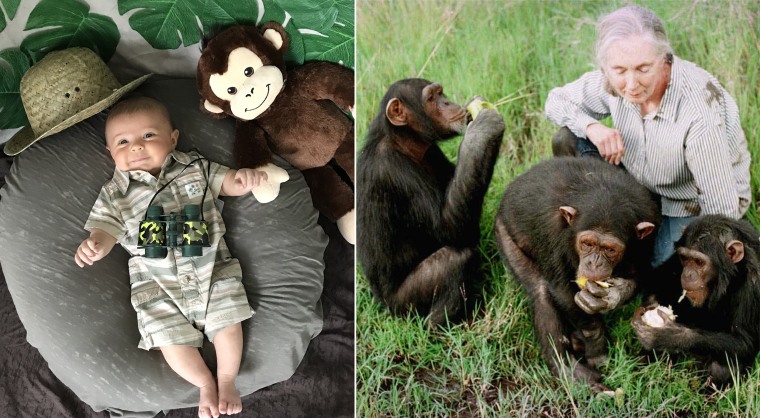 Baby Liberty dressed as primatologist and anthropologist Jane Goodall, who is famous for her extensive work with chimpanzees.