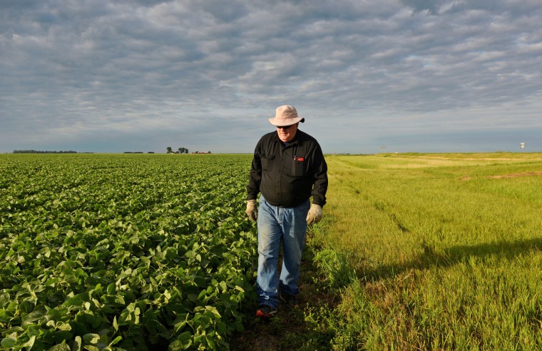 Image: Corn and soybean farmer William Hejl checks one of his soybean fields in Amenia