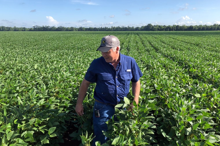 Image: Soybean farmer Schexnayder Jr. overlooks his farm outside Baton Rouge in Erwinville
