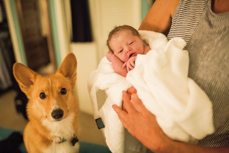 Ranger with his human baby sister, Berkeley.