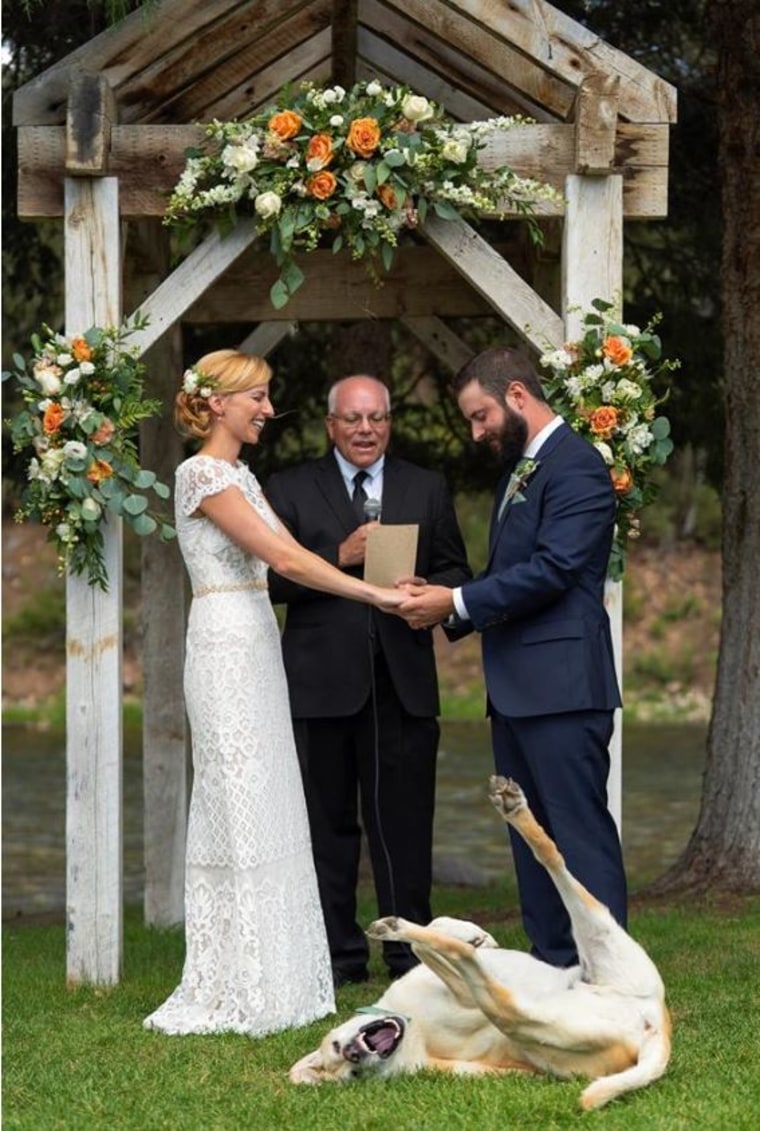Dog photo-bombs couple's wedding photo