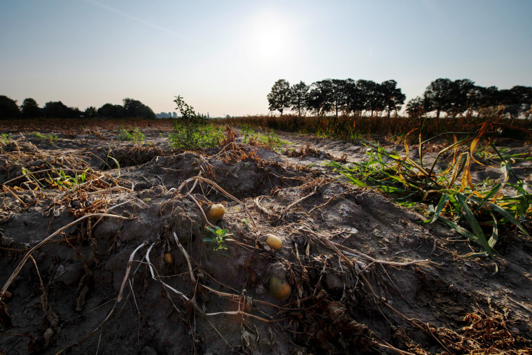 Image: Europe drought