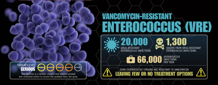 Vancomycin-resistant enterococci are a major hospital nuisance.