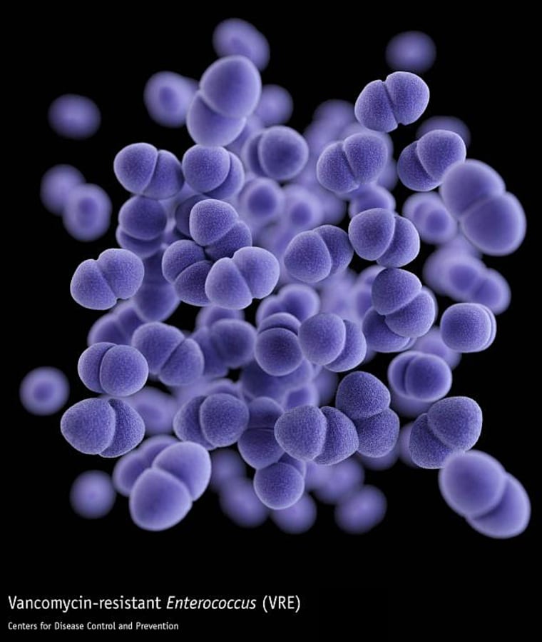 vancomycin-resistant Enterococcus (VRE) bacteri