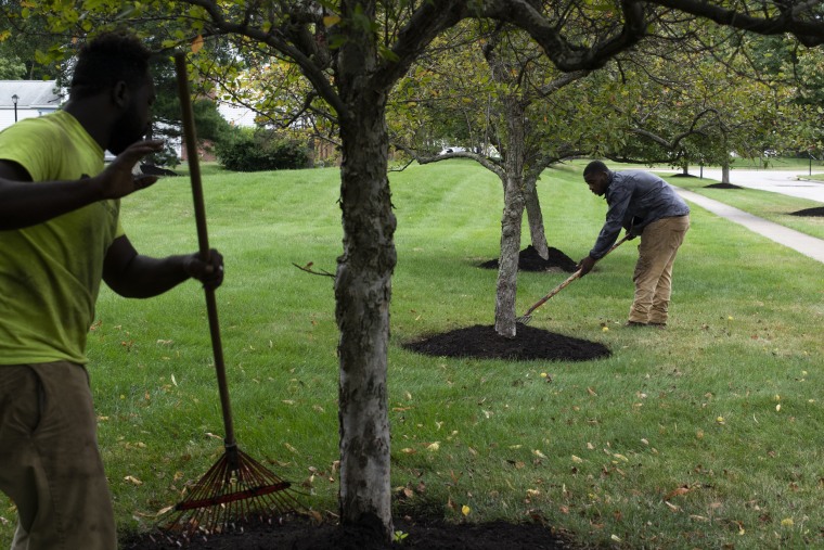 Image: Turfscape Inc. Landscape Technicians rake piles of manure