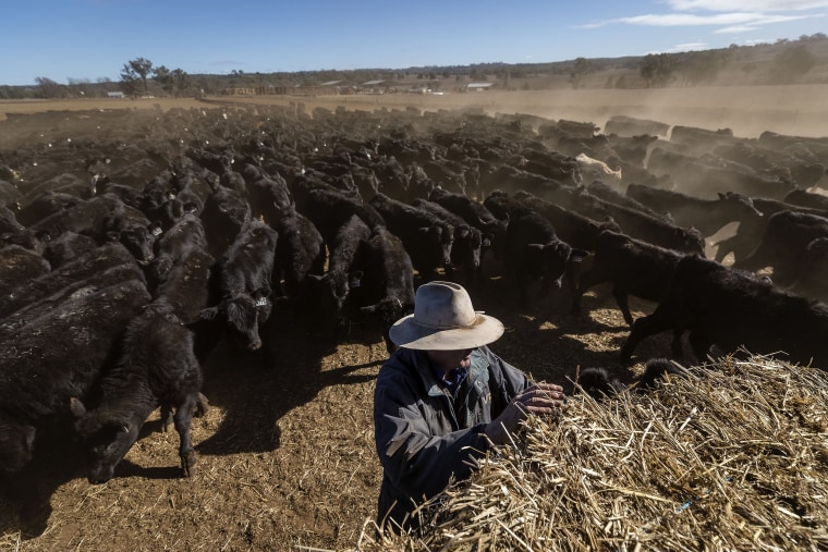 Image: New South Wales Farmers Battle Crippling Drought