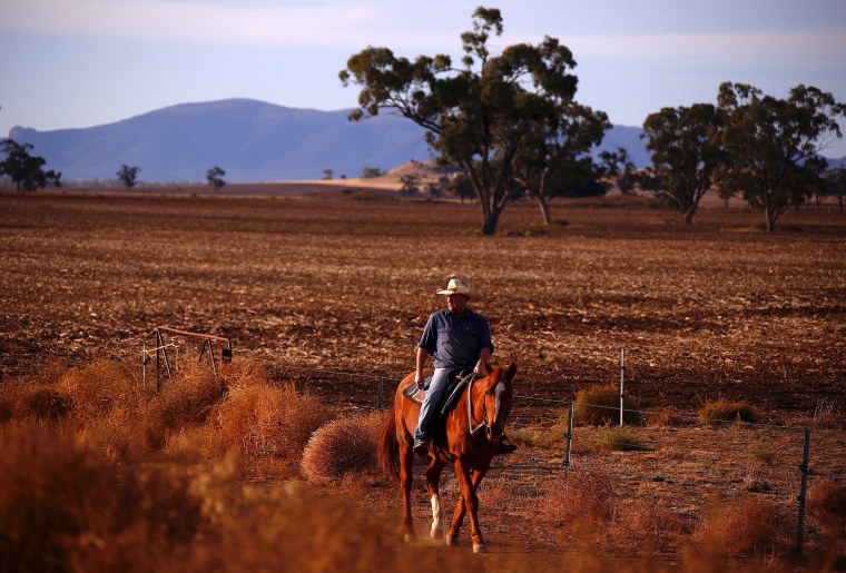 Image: Farmer Scott Cooper rides his horse through a drought-effected paddock on his property named 'Nundah', located south of the central New South Wales town of Gunnedah