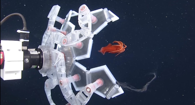 Brigham Young University has created a foldable bulletproof shield 