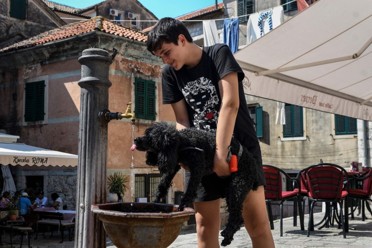 Image: A boy helps a dog to drink water in Montenegro