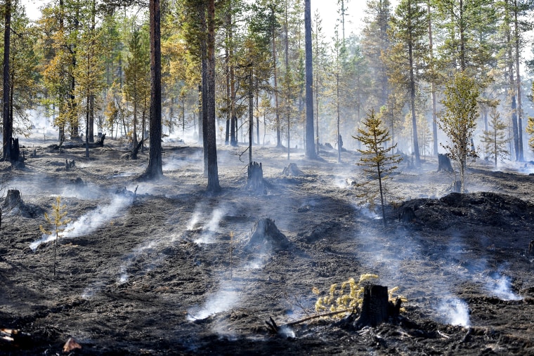 Image: Sweden heatwave