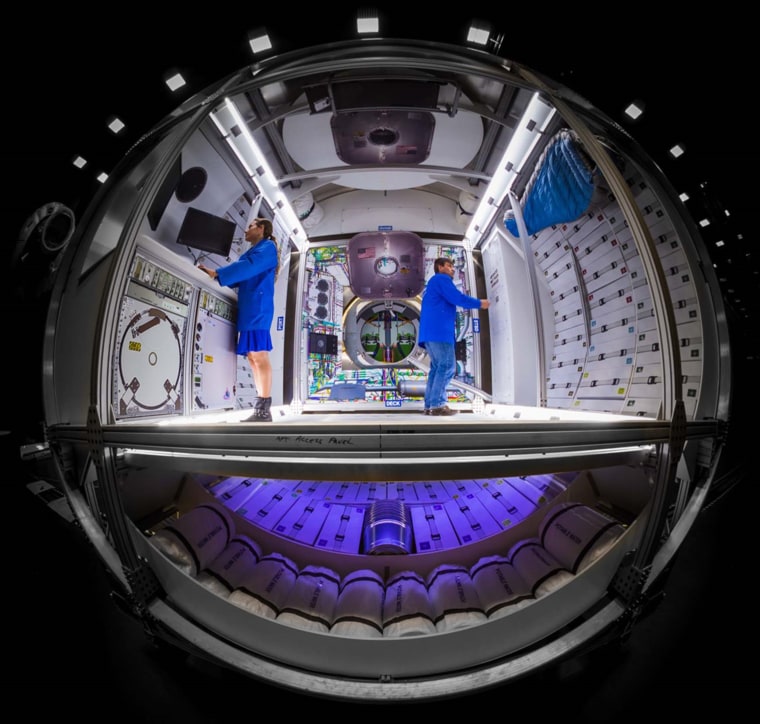 Image: Space Lunar Habitat