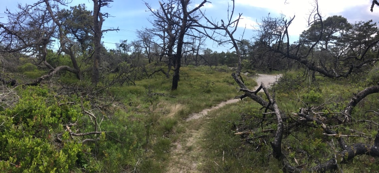 Image: Meat Rack Fire Island