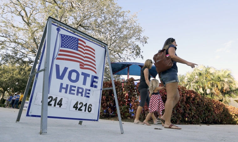 Image: Florida Voters Cast Their Ballots In State's Primary
