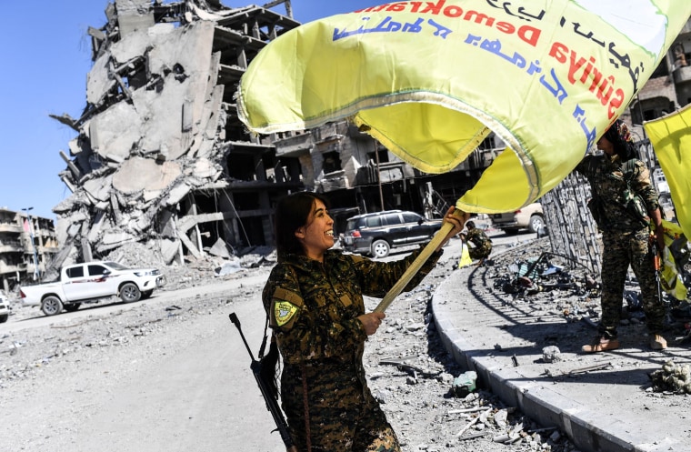 Image: SDF fighter, SDF flag