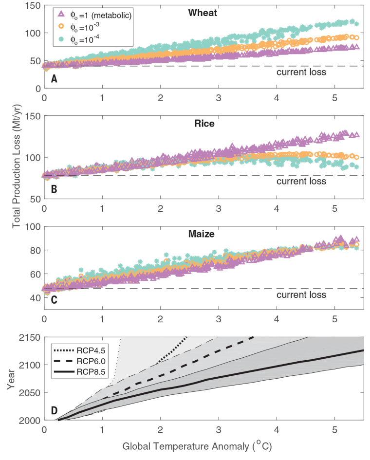 Global loss of crop production owing to the impact of climate warming on insect pests.