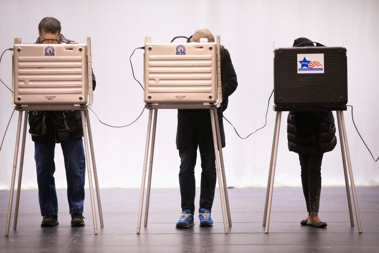 Image: Voters Go To The Polls In Illinois Presidential Primary