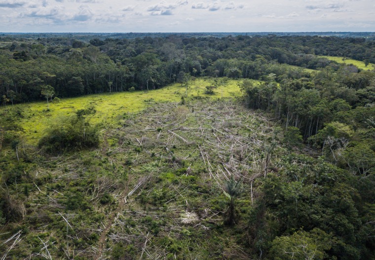 Recently deforested land in Caquet? Department, southern Colombia.