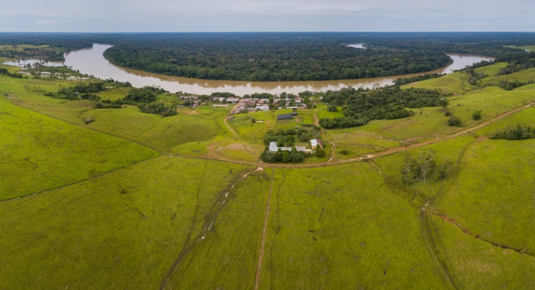 The contrast between tropical forest and grazing land in Caquet? Department, southern Colombia.