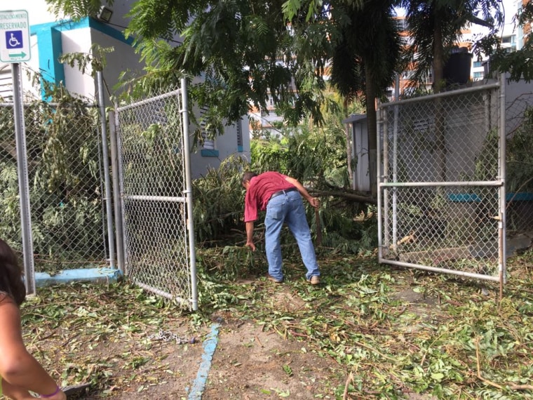 Survivors: Hurricane Maria