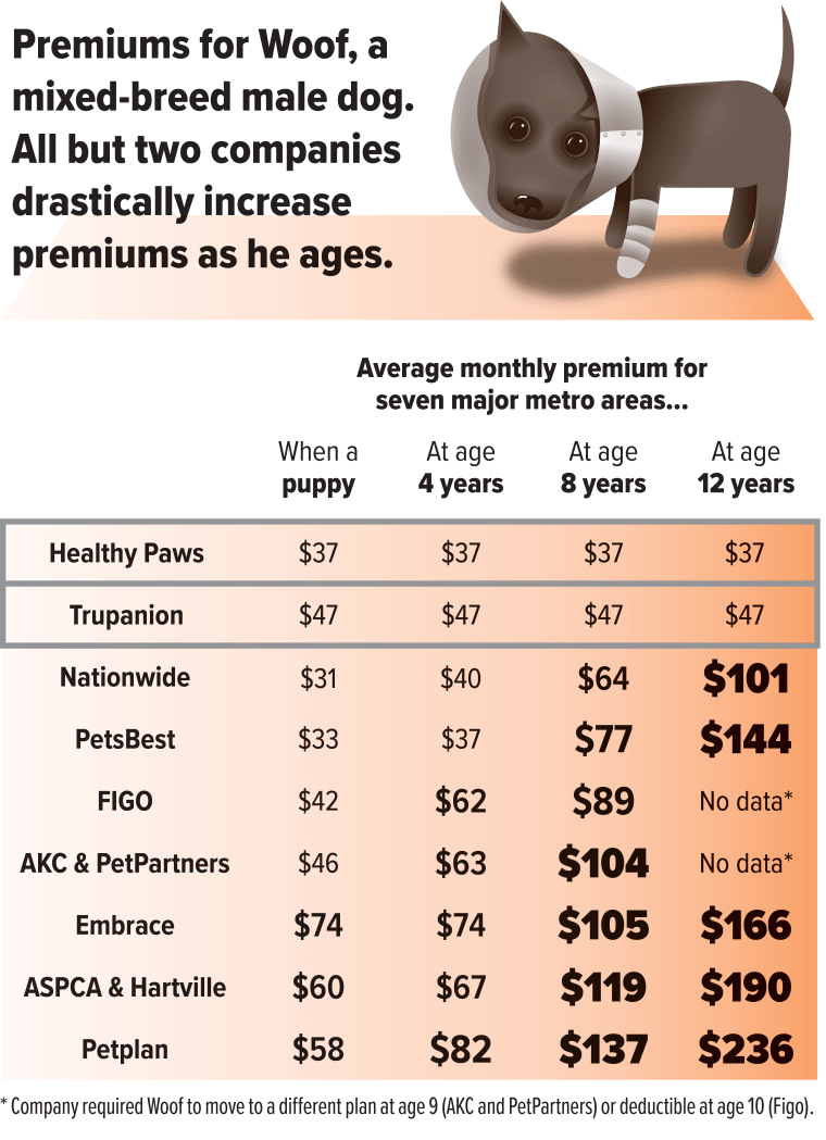 Premiums for Woof, a mixed breed male