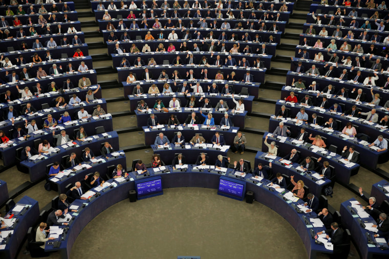 Image: MEPs take part in a voting session at the European Parliament in Strasbourg