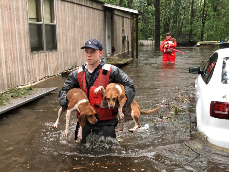 Image: Coast Guard rescues people and pets near Riegelwood