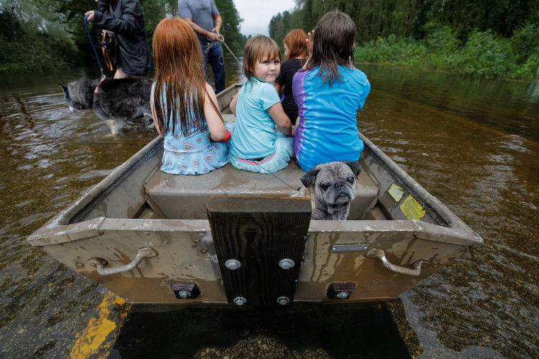 Image: Iva Williamson, 4 years old, peers behind her as she joins neighbors and pets in fleeing rising flood waters in the aftermath of Hurricane Florence in Leland, North Carolina