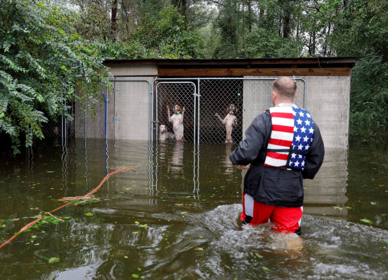 Image: Panicked dogs that were left caged by an owner who fled rising flood waters in the aftermath of Hurricane Florence, are rescued by volunteer rescuer Ryan Nichols of Longview, Texas, in Leland, North Carolina