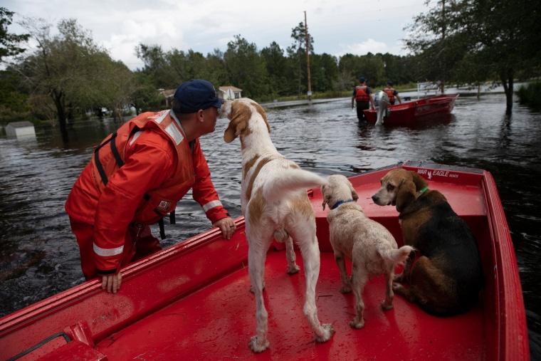 Coast Guardsman Taylor Elliot rescues dogs who were left behind in flooded areas of Columbus County, NC on September 17, 2018.