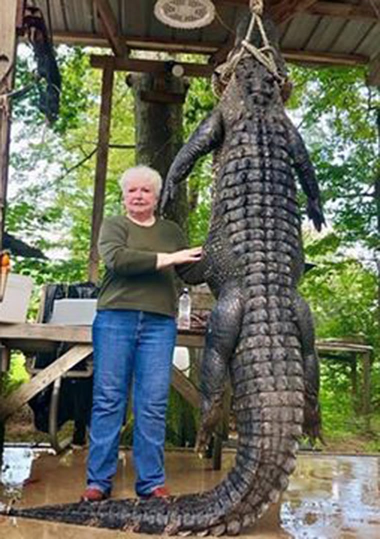Livingston Mayor Judy Cochran poses with the 12-foot alligator she shot.