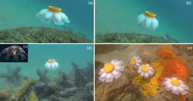 Image: The jellyfish robot