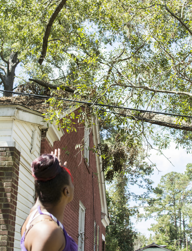 Teire Herring points at the tree that currently rests on top of her house.