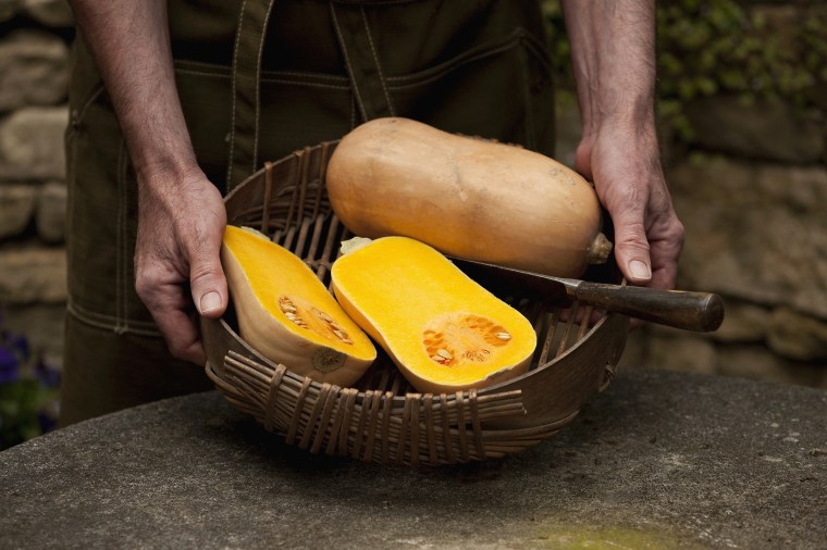 Winter/fall squash