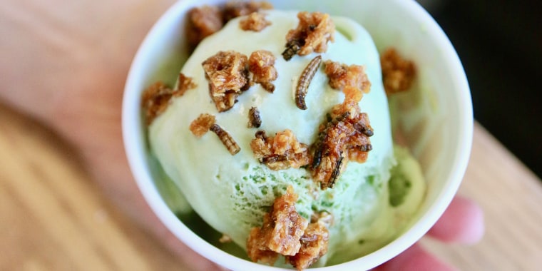 Blood and mealworm ice cream