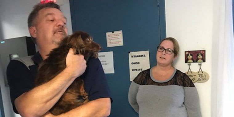 It was a very happy reunion for Lady and her owners on Monday.