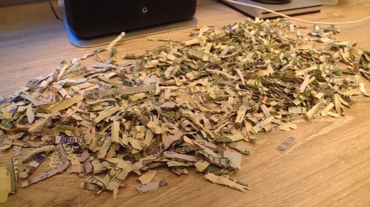 Little boy who shredded $1,000