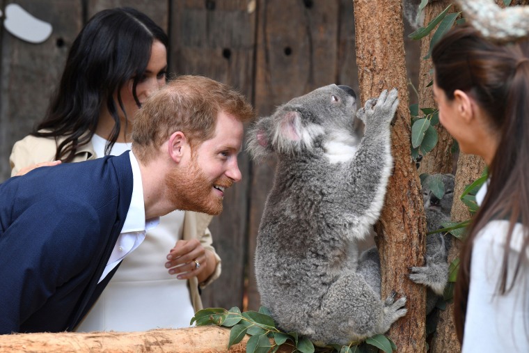 The Duke and Duchess of Sussex in Sydney