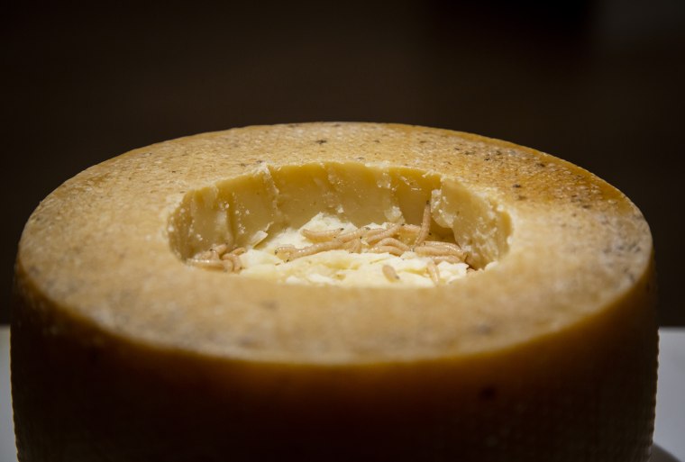 Casu marzu, a maggot-filled cheese from Sardinia, Italy.