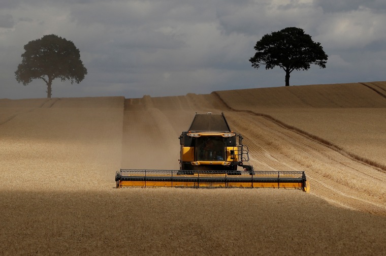 A field of barley is harvested near Polesworth