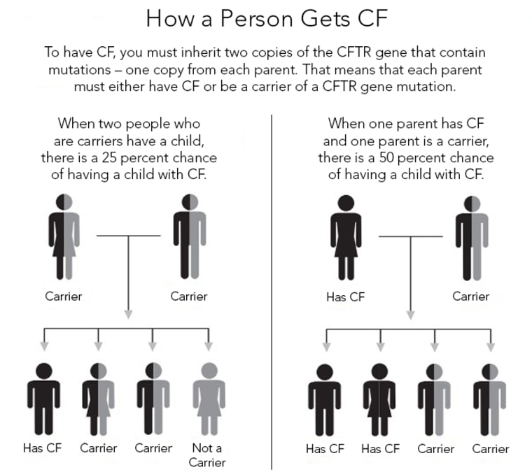 Graphic showing how a person gets cystic fibrosis