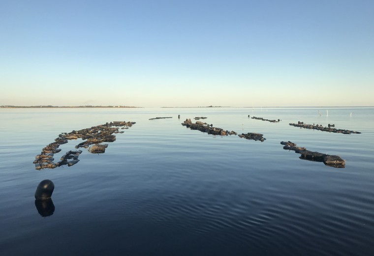 Cainnon Gregg's oyster farm