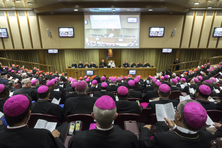 Image: Vatican Synod