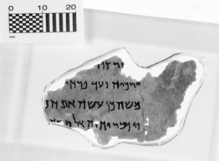 Image: Alleged Dead Sea Scroll fragments