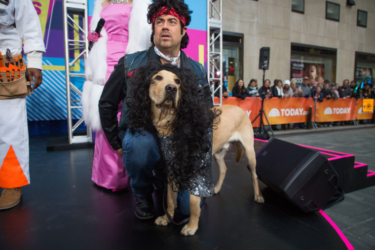TODAY show Halloween: Puppy with a purpose Sunny as Cher