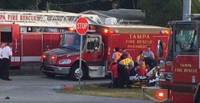 Three kids and two adults were hit by a vehicle at a school bus stop in Tampa on Thursday morning.