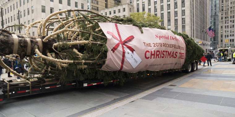 Rockefeller Center Christmas Tree