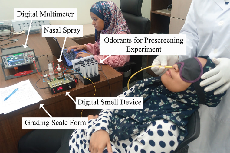 Image: Researchers at the Imagineering Institute in Malaysia use electricity to stimulate olfactory receptors.