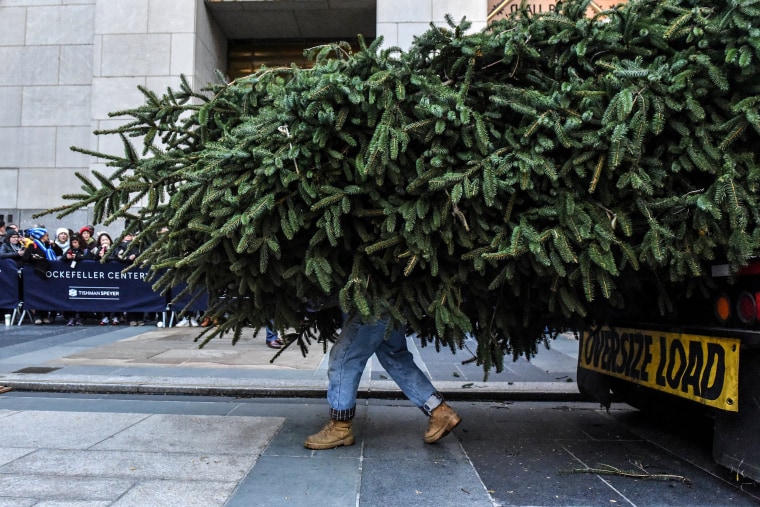 Image: Workers raise the Rockefeller Center Christmas tree in New York City